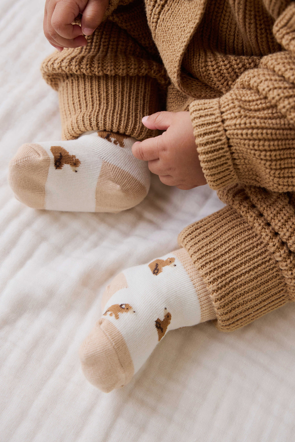 Honey Bear Socks - Honey Bear