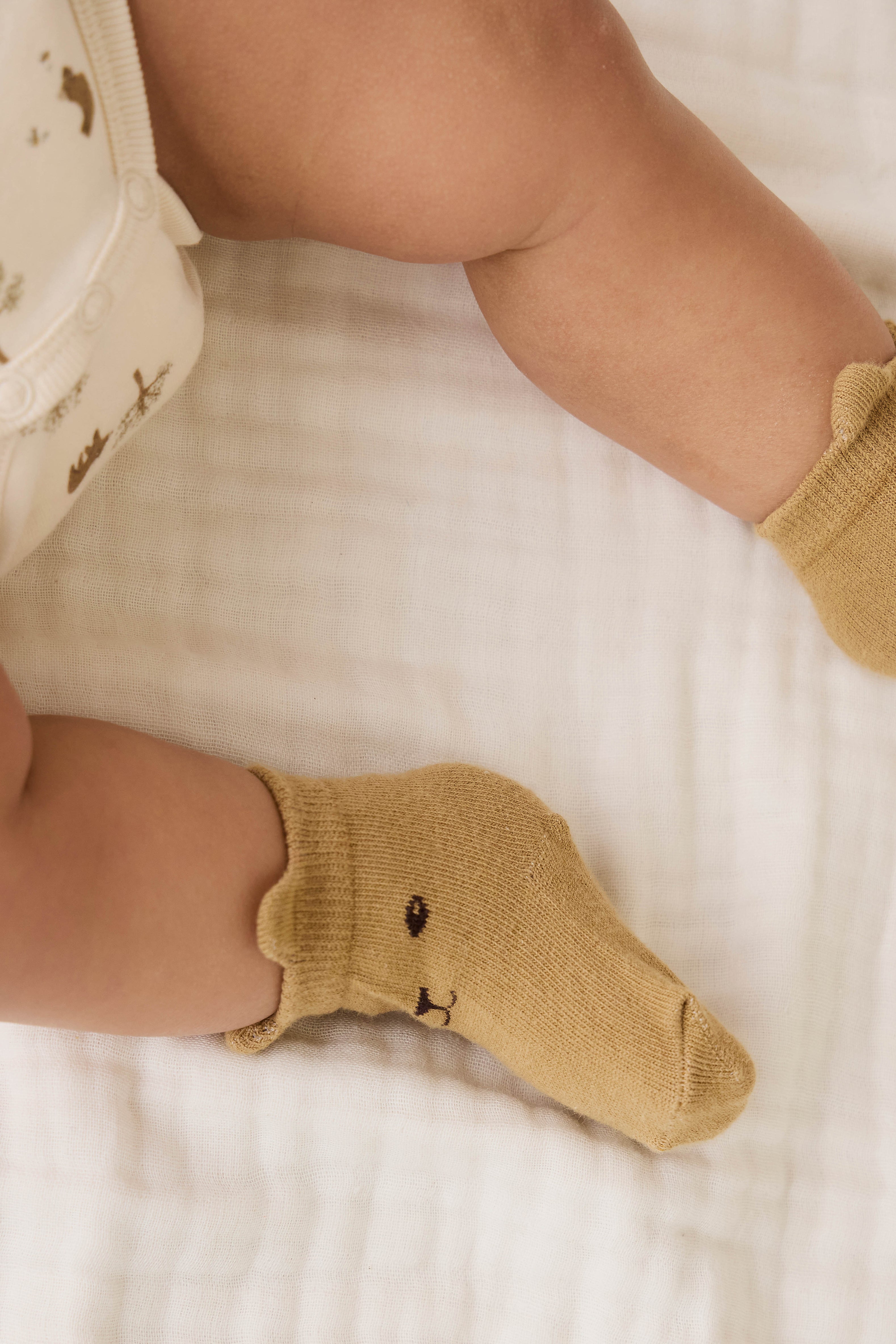 George Bear Ankle Sock - Buckwheat