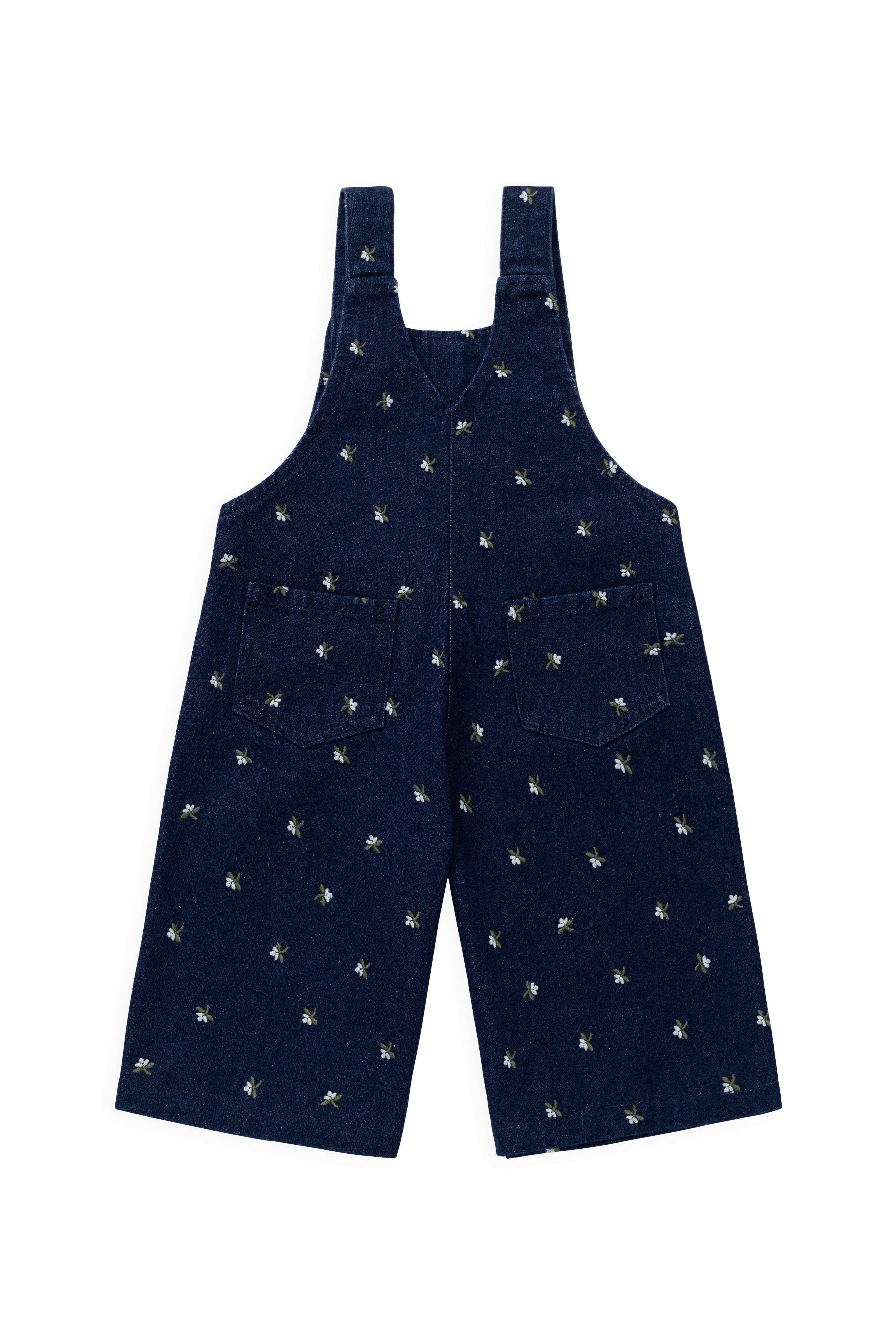 Dorian Overall - Lisa Indigo