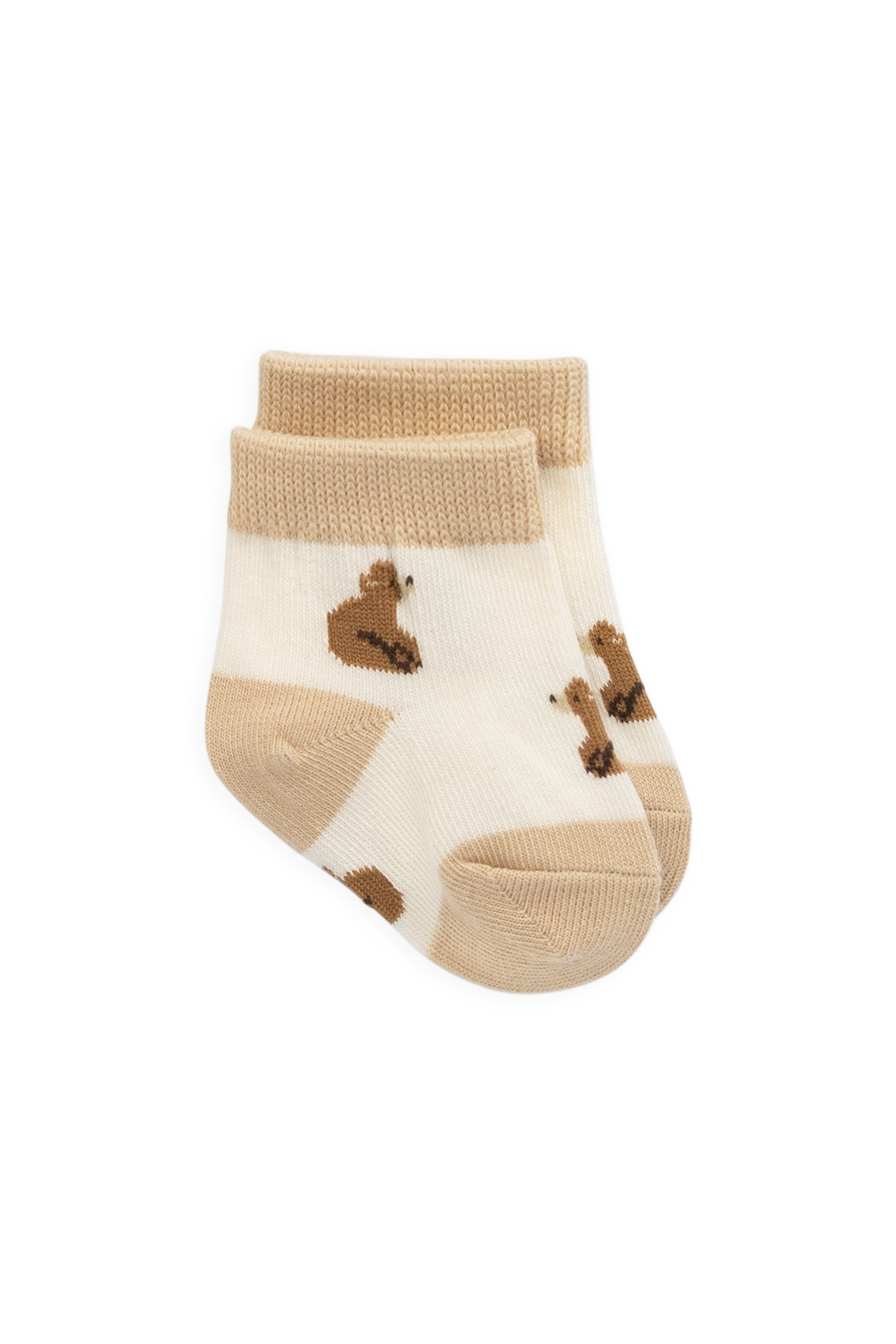 Honey Bear Socks - Honey Bear